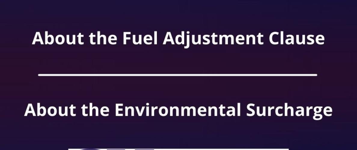 about the fuel adjustment clause